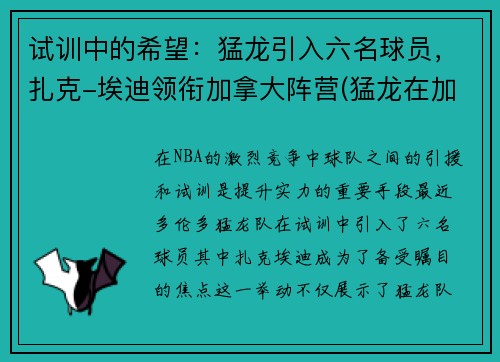 试训中的希望：猛龙引入六名球员，扎克-埃迪领衔加拿大阵营(猛龙在加拿大)