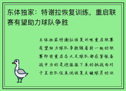 东体独家：特谢拉恢复训练，重启联赛有望助力球队争胜