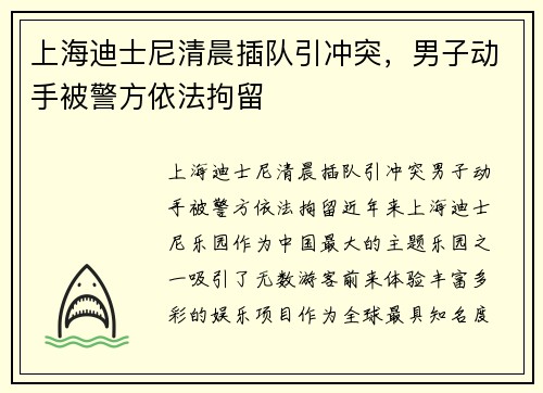 上海迪士尼清晨插队引冲突，男子动手被警方依法拘留