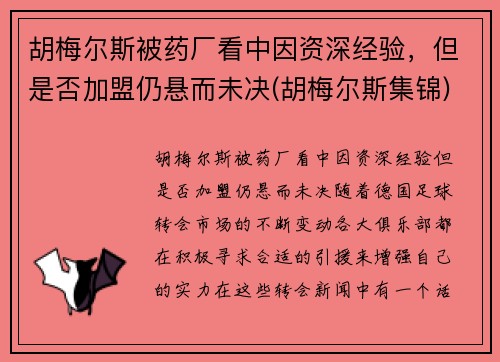 胡梅尔斯被药厂看中因资深经验，但是否加盟仍悬而未决(胡梅尔斯集锦)