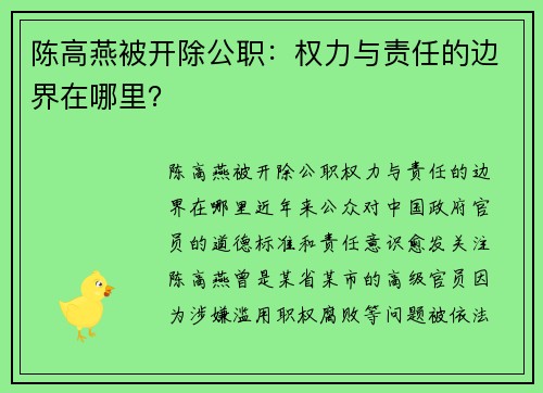 陈高燕被开除公职：权力与责任的边界在哪里？